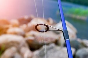 Fishing pole with a fluorocarbon fishing line