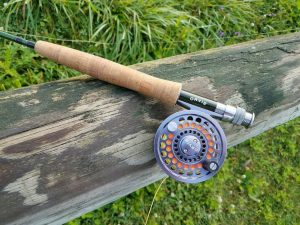 Orvis Clearwater rod and real on stump