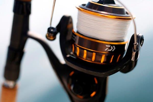 Daiwa BG 4000 SW