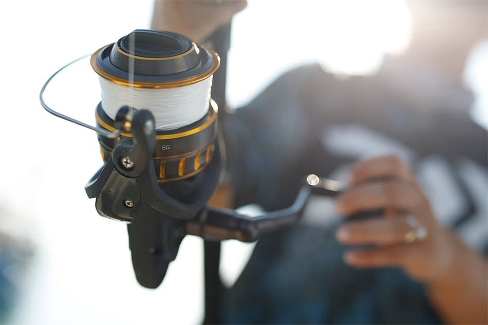 Daiwa Bg 4000 Review Affordable Premium Quality Spinning Fishing Reel