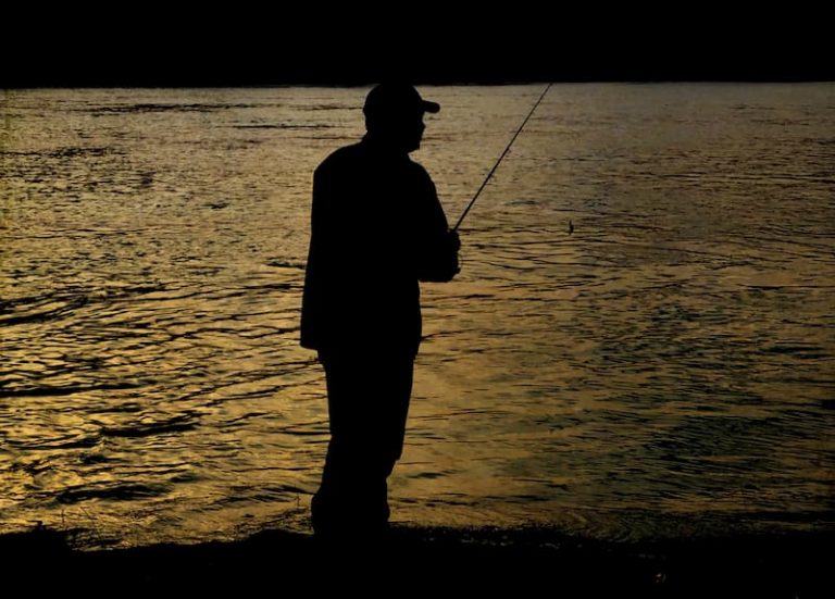 What Time of Day Is Best to Fish? Fishing Perfect Fisherman Product