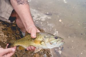 Man holding a trout.